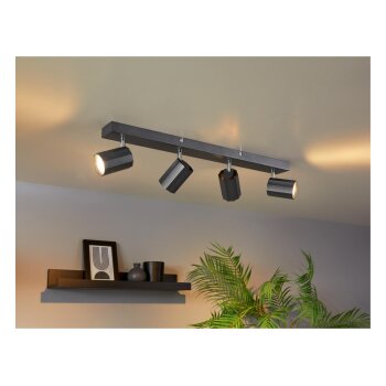 LIVARNO home Deckenschienenleuchte / Deckenstrahler, mit 4 neig- und schwenkbaren Spots - B-Ware
