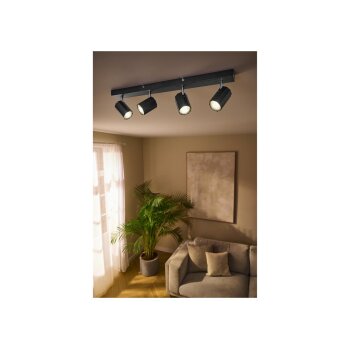 LIVARNO home Deckenschienenleuchte / Deckenstrahler, mit 4 neig- und schwenkbaren Spots - B-Ware