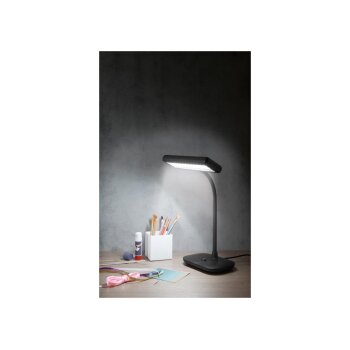 LIVARNO home LED-Tischleuchte - B-Ware