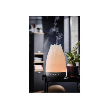 LIVARNO® Ultraschall-Aroma-Diffuser »LADL 300 A1« (Blüte) - B-Ware sehr gut