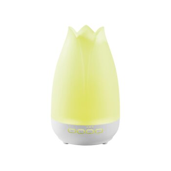 LIVARNO® Ultraschall-Aroma-Diffuser »LADL 300 A1« (Blüte) - B-Ware sehr gut