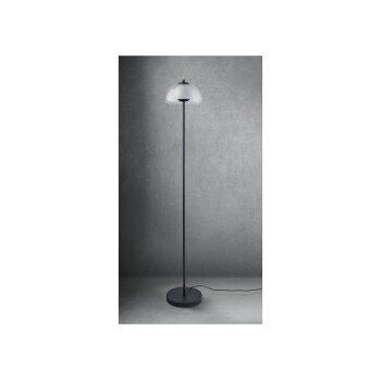 LIVARNO home LED-Stehleuchte, Lampenschirm aus hochwertigem Glas - B-Ware sehr gut