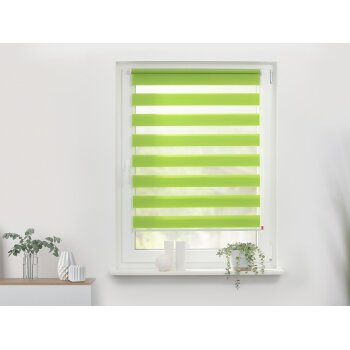 Lichtblick Duo Rollo Klemmfix, ohne Bohren, ab 45 x 150 cm (Grün, 70x220 cm) - B-Ware sehr gut