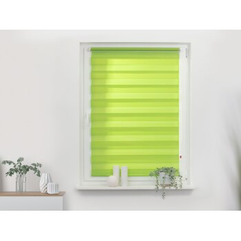 Lichtblick Duo Rollo Klemmfix, ohne Bohren, ab 45 x 150 cm (Grün, 55x150 cm) - B-Ware neuwertig