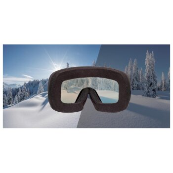 CRIVIT Damen Herren Ski- und Snowboardbrille, mit selbsttönendem Visier - B-Ware