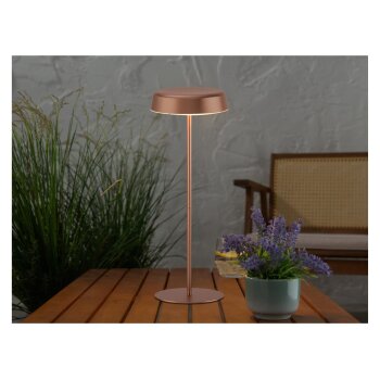 LIVARNO home LED-Akku-Tischleuchte - B-Ware