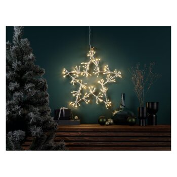LIVARNO home LED-Dekokranz / LED-Dekostern - B-Ware