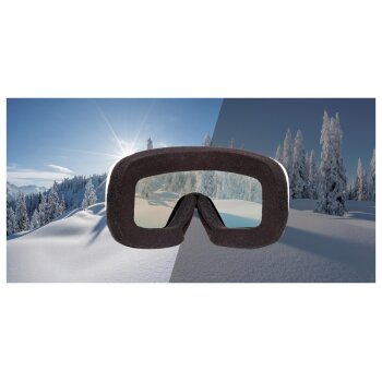 CRIVIT Damen Herren Ski- und Snowboardbrille, mit...