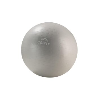 CRIVIT Fitness-Zubehör, Gymnastikball mit 65 cm -...