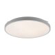 LIVARNO® LED-Deckenleuchte mit Farbtonsteuerung - B-Ware