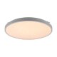 LIVARNO® LED-Deckenleuchte mit Farbtonsteuerung - B-Ware