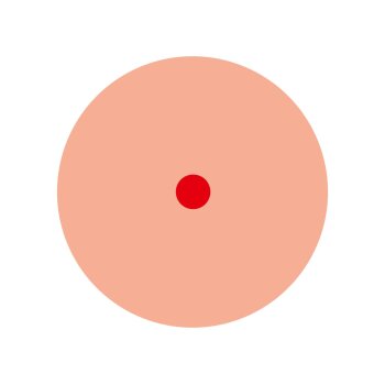 PARKSIDE® Bau-/Holzfeuchtemessgerät »PBHM A1« / Infrarot-Thermometer »PITM A1« (Infrarot-Thermometer) - B-Ware neuwertig