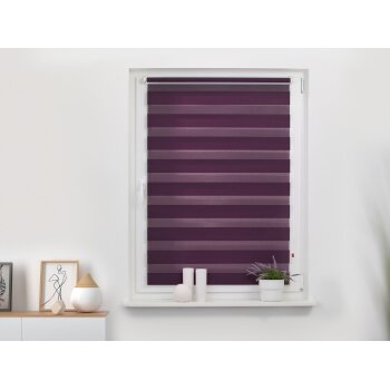 Lichtblick Duo Rollo Klemmfix, ohne Bohren, ab 45 x 150 cm (Brombeer, 60x220 cm) - B-Ware neuwertig