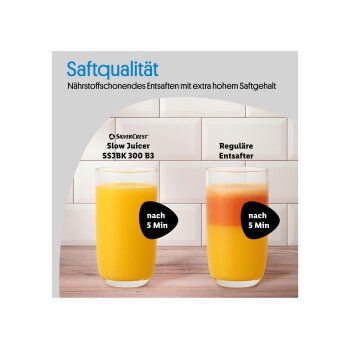 SILVERCREST® Slow Juicer »SSJBK 300 B3« - B-Ware