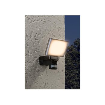 LIVARNO home LED-Außenstrahler, mit...