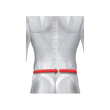 sensiplast® Rückenbandage (L/XL) - B-Ware neuwertig