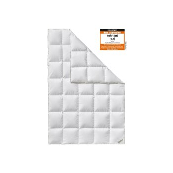 Fjödur Ganzjahresbettdecke Daunen - B-Ware