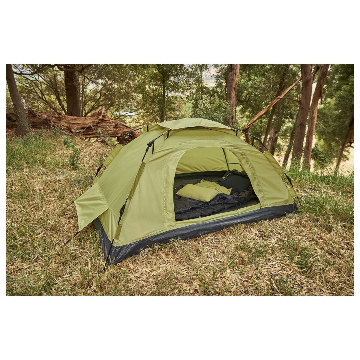 firma angerer markisen Klemmmarkise Exklusiv beige, 300 cm beautiful Fell:Natürliches Waschbärfell Melbourne Kassettenmarkisen Vorteile und