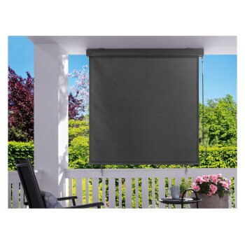 LIVARNO home Senkrechtmarkise, 250x140 cm, ausziehbar - B-Ware