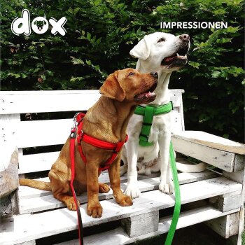DDOXX Hundegeschirr Nylon, Step-In, verstellbar, S, grün - B-Ware gut
