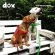 DDOXX Hundegeschirr Nylon, Step-In, verstellbar, S, grün - B-Ware gut