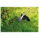 PARKSIDE® Benzin-Kombigerät »PBK 4 C4«, 4in1 - B-Ware