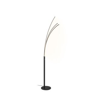 LIVARNO® LED-Bogenleuchte / LED-Palmenleuchte - B-Ware