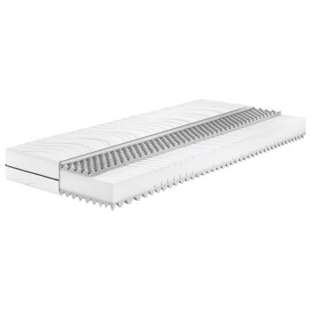 BADENIA TRENDLINE 7-Zonen-Kaltschaummatratze »BT...