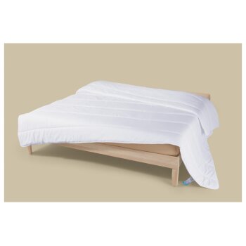 LIVARNO® Anti-Milben-Bettdecke, 220 x 200 cm - B-Ware...