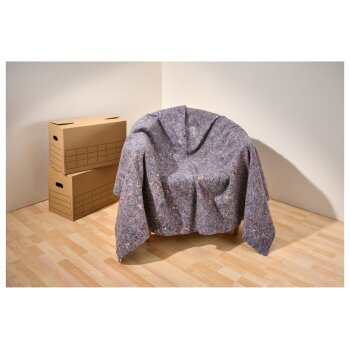 PARKSIDE® Schutzdecken, 2 Stück - B-Ware neuwertig