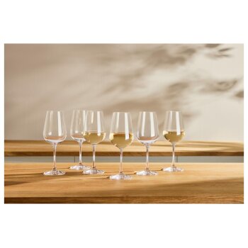 SILVERCREST® Sektgläser / Weißweingläser / Wassergläser / Rotweingläser - B-Ware