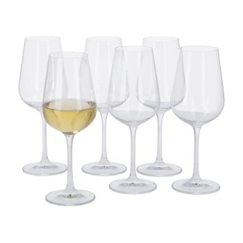 SILVERCREST® Sektgläser / Weißweingläser / Wassergläser / Rotweingläser - B-Ware