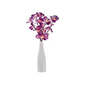 LIVARNO® Dekovase mit LED-Leuchtzweig - B-Ware