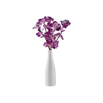 LIVARNO® Dekovase mit LED-Leuchtzweig - B-Ware