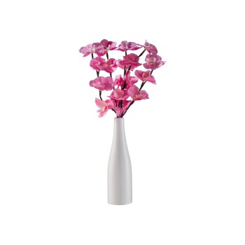 LIVARNO® Dekovase mit LED-Leuchtzweig - B-Ware