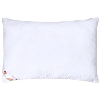 LIVARNO home Kopfkissen »Polygiene®«, 50 x 70 cm - B-Ware sehr gut