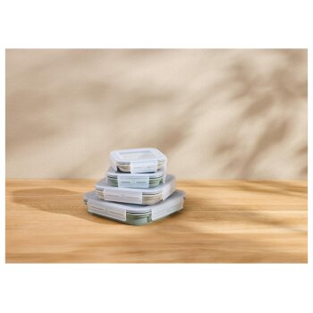 SILVERCREST® Faltbare Frischhaltedosen / Lunchbox (Quadrat 4tlg.) - B-Ware sehr gut