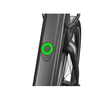 CRIVIT Urban E-Bike Y.2 All Black - B-Ware neuwertig