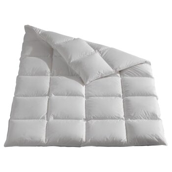 HÄUSSLING Daunen-Kassettenbettdecke warm (220 x 240...