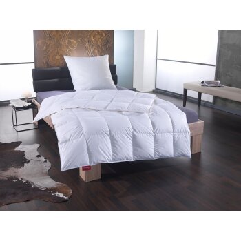 Sannwald Luxus Gänse-Daunen-Kassettenbettdecke...