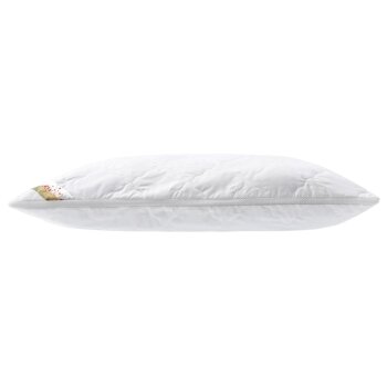 LIVARNO home Kopfkissen Polygiene®, 70 x 90 cm - B-Ware Transportschaden Kosmetisch