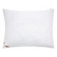 LIVARNO home Kopfkissen Polygiene®, 70 x 90 cm - B-Ware Transportschaden Kosmetisch