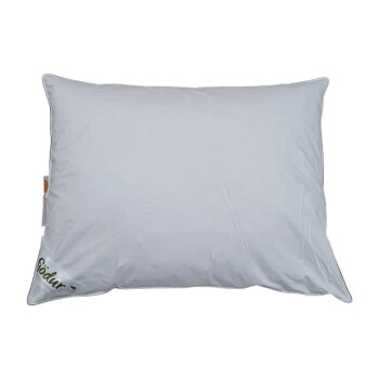 Fjödur Feder-Kopfkissen Klassik, 70 x 90 cm - B-Ware...