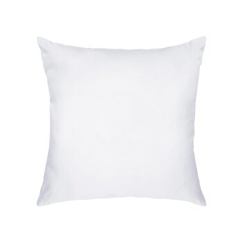 LIVARNO® Anti-Milben-Kissen, 60 x 60 cm - B-Ware sehr...