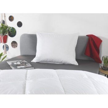 Sannwald 3-Kammer-Kissen mit Federn und Daunen, 60 x 70...