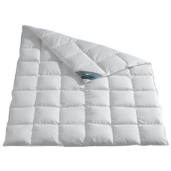 HÄUSSLING Daunen-Kassettenbettdecke, medium, 260 x...