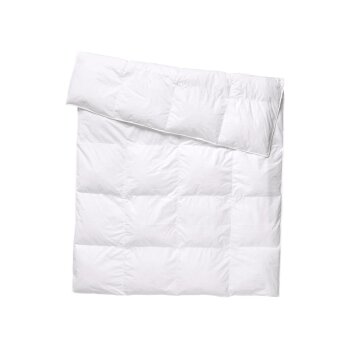 LIVARNO® Feder-und Daunen-Bettdecke, 200 x 220 cm - B-Ware sehr gut