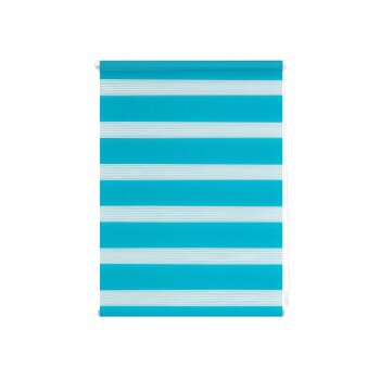 Lichtblick Klemmfix Duo-Rollo, Sonnen- und Sichtschutz,...