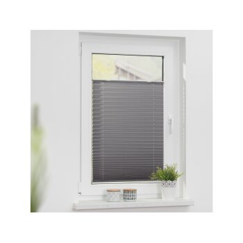 Lichtblick Plissee »Haftfix«, mit...