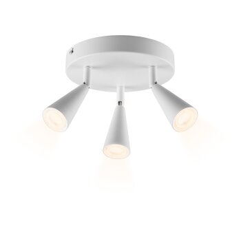 LIVARNO® LED-Deckenleuchte »FREYA« - B-Ware